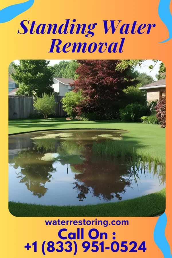 Standing Water Removal in Jeffersonville, GA